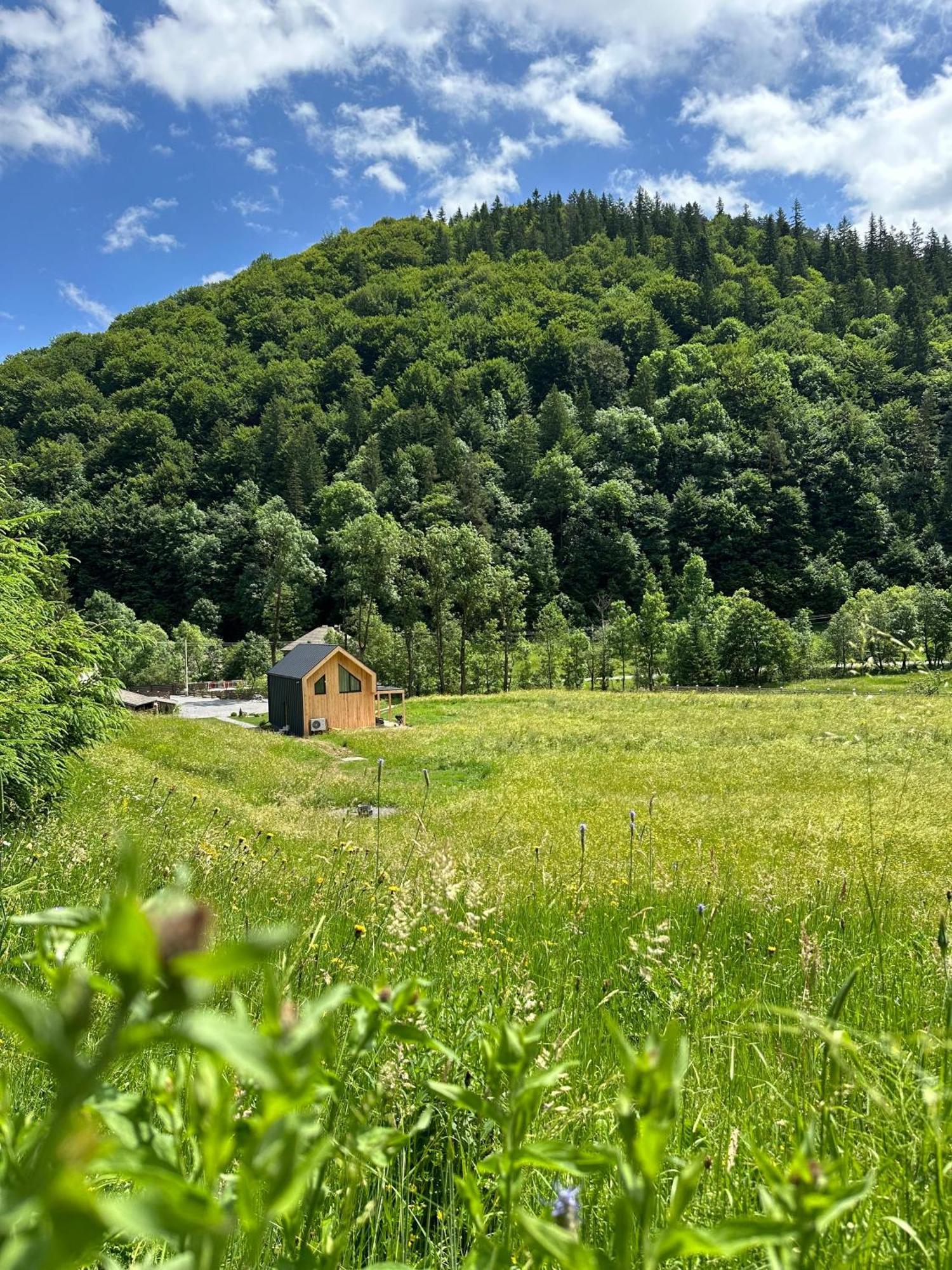 Vama Chalet Vama Buzăului Eksteriør bilde
